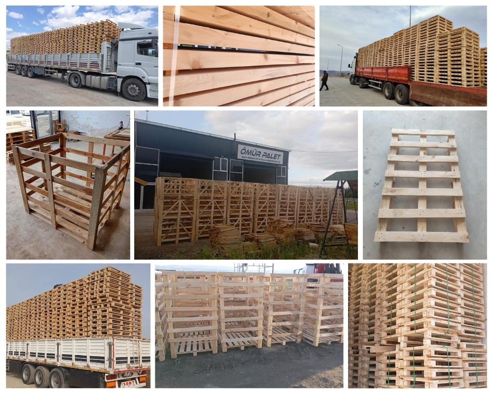 Vasto Palette Europe, Acheter des palettes en gros